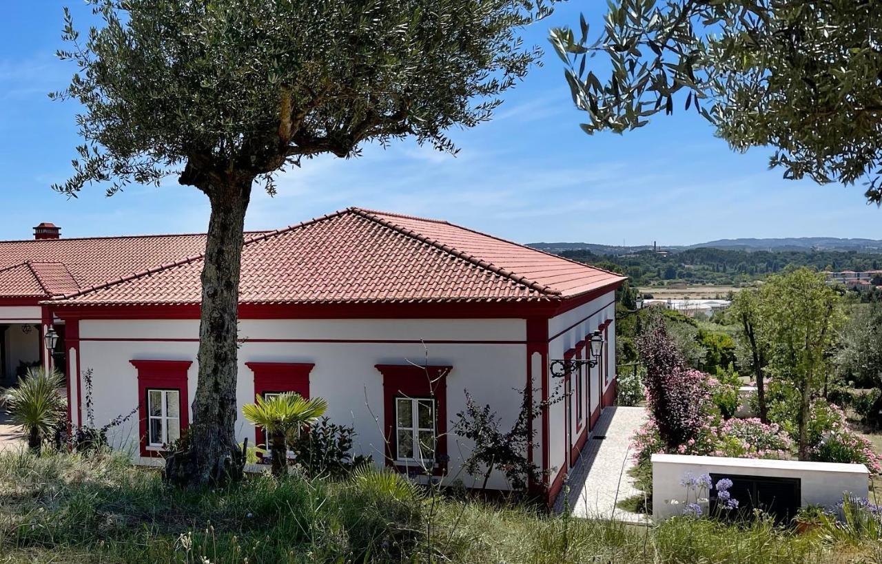 Best Luxury Boutique B&B Vista Do Vale טומאר מראה חיצוני תמונה