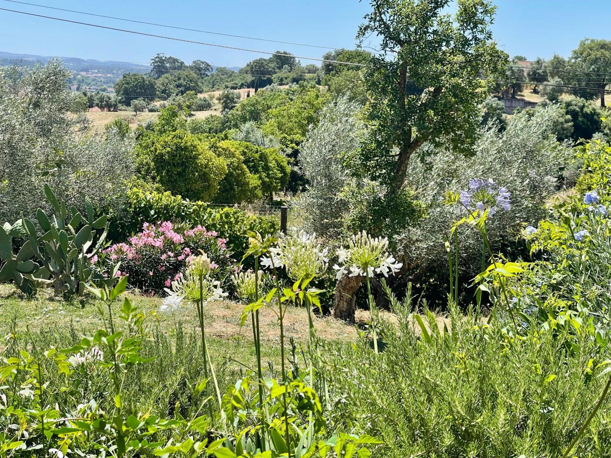 Best Luxury Boutique B&B Vista Do Vale טומאר מראה חיצוני תמונה